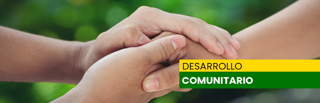dideco
