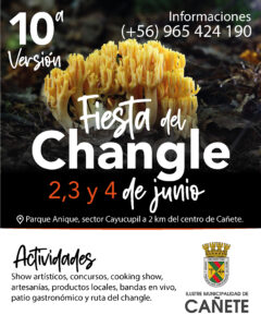 Programa Fiesta del Changle