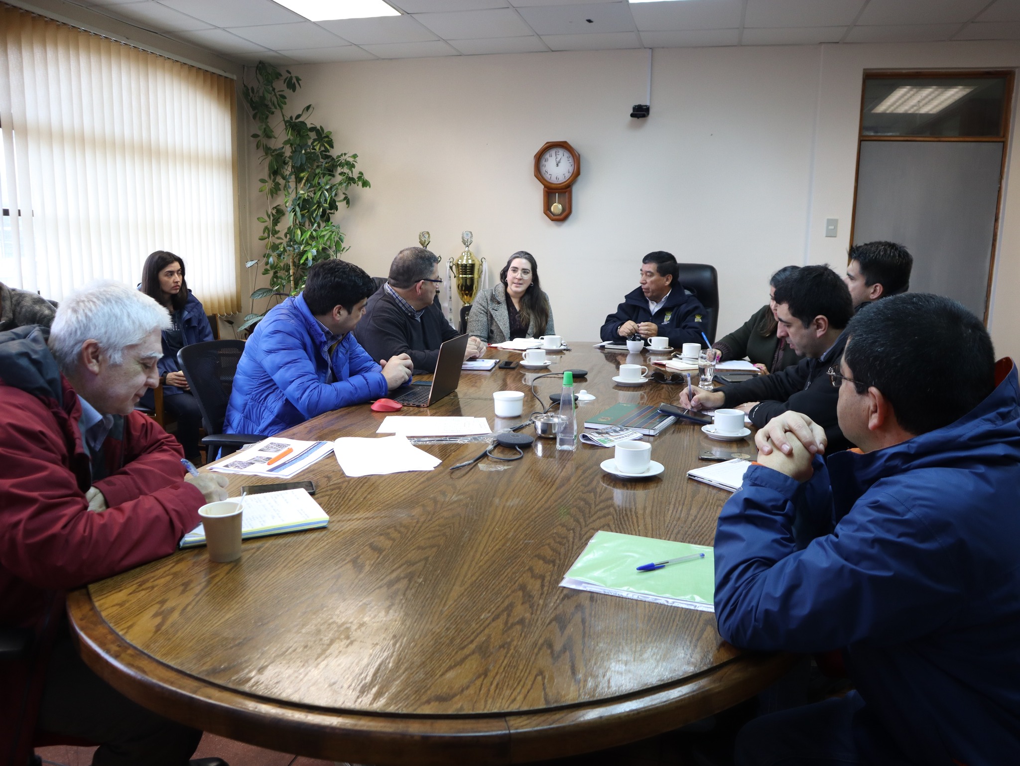 Proyecto nueva avenida Frei