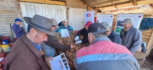 Gira certificación papa