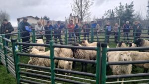 CAPACITACIÓN PRODESAL