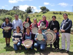 Taller de Ñocha Nivel Intermedio