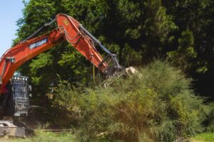 Limpieza aeródromo las misiones