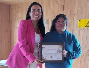 Certificación taller platería usuarios PDTI