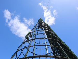 Árbol de Navidad Plaza de Armas