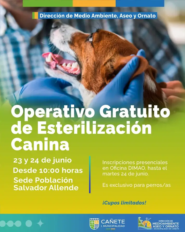 esterilización canina