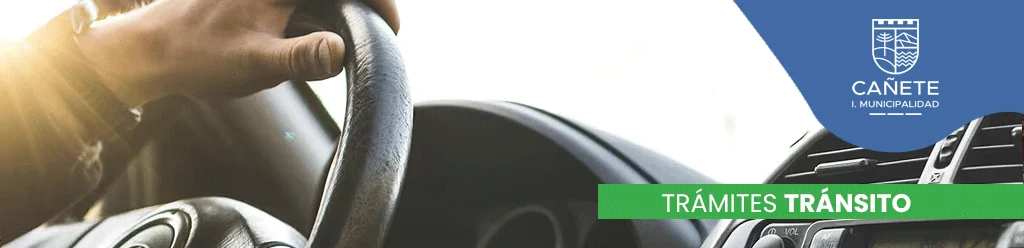 Tramites en Tránsito
