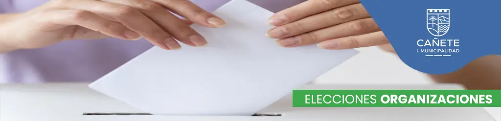elecciones organizaciones