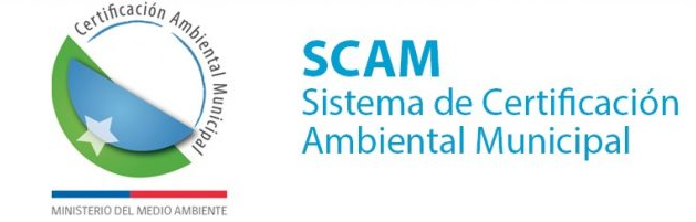 scam
