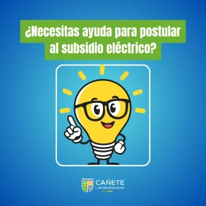 SUBSIDIO ELÉCTRICO