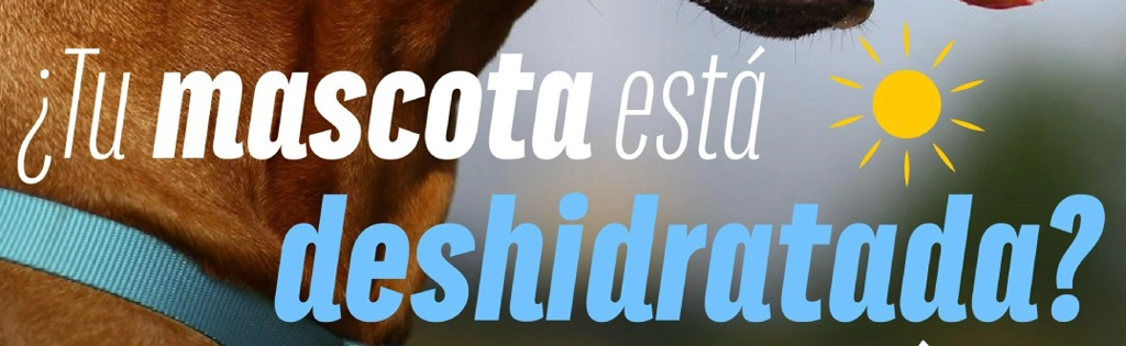 ¿mascota deshidratada ?