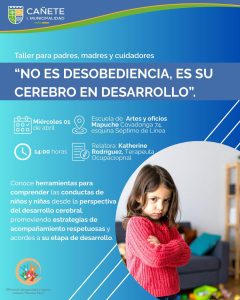 TALLER SOBRE DESARROLLO CEREBRAL INFANTIL