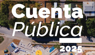 revista cuenta publica