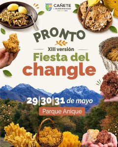 Fiesta del Changle