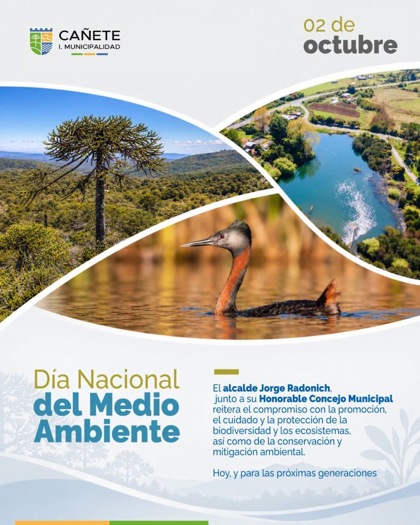 día medio ambiente